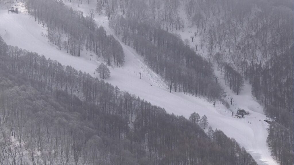 斑尾高原スキー場で「全層雪崩」規模は最大幅185m長さ600m　10～40代の男女4人が大けが