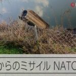 イランからのミサイルがトルコに　NATOが撃墜