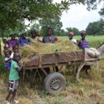 【アフリカ支援】日本人農家がアフリカで栽培指導した種芋を現地住民が植えずに食べ尽くす愚民！！Ｘ民の間で、NGOの井戸ポンプ売却や蚊帳の転用失敗例が共有される