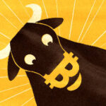 株式とビットコインと現金が紙くずに🥹