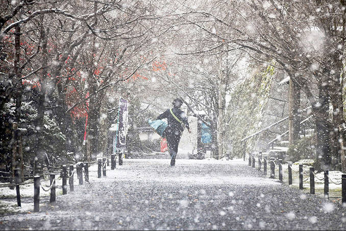 雪は降る　荒川区内　3日昼過ぎから