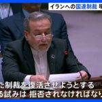 イラン「ロシアさん助けて!!」露「テロとの戦いは安全保障の対象外」悪質な保険屋みたいなこと言い出す