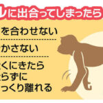 【佐賀】「サルの大群が歩いている」３０～４０匹出没