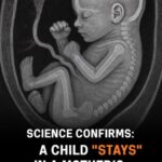 【研究】妊娠中の母親の体内に移動した「胎児の細胞」が、出産後も数十年にわたり母親の損傷した臓器を修復し続けるという衝撃的な事実が明らかになりました