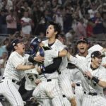 WBC、写真や動画の投稿禁止　(チケット規約)