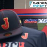 【WBC盛り上がりですでにグッズ売り切れも！】青森県内でも「侍フィーバー」加速