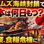 ホルムズ海峡依存度ランキング、日本がダントツ世界一でさっそく終わるwwww