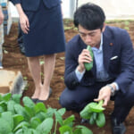 【政治】小泉進次郎の政策を全否定…鈴木農水大臣がコメ増産を止めさせ､備蓄米の"買い戻し"を狙う本当の理由