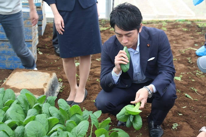 【政治】小泉進次郎の政策を全否定…鈴木農水大臣がコメ増産を止めさせ､備蓄米の"買い戻し"を狙う本当の理由