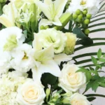 【訃報】作家・藤原緋沙子さん死去「隅田川御用帳」シリーズなど人情味あふれる時代小説発表　脚本家としての顔も