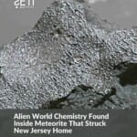 米ニュージャージー州の民家に落下の隕石から〝地球外生命〟の化学反応「硫黄のような臭いが…」(東スポ)