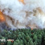 【パリ郊外の森で山火事】放火の可能性もあると内相