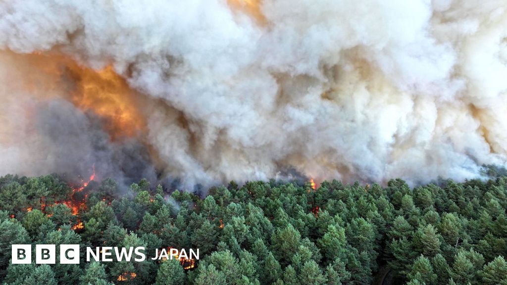 【パリ郊外の森で山火事】放火の可能性もあると内相