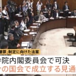 【パヨク悲報】国旗損壊罪法案が参・内閣委で可決。今の国会で成立見通し。パヨさん駆け込み損壊か