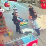 動画 危機一髪 7階で飼われていたネコ 窓から飛び降りたところを急遽…大型パラソルが救った命 トルコ