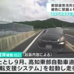 「こんな馬鹿げた運転中に靴履き替えようとする奴が出てくるなんて想定が法律もできない」