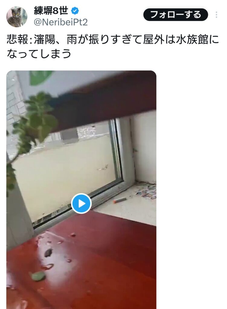 中国の瀋陽、激しい雨で屋外が完全なる水族館に