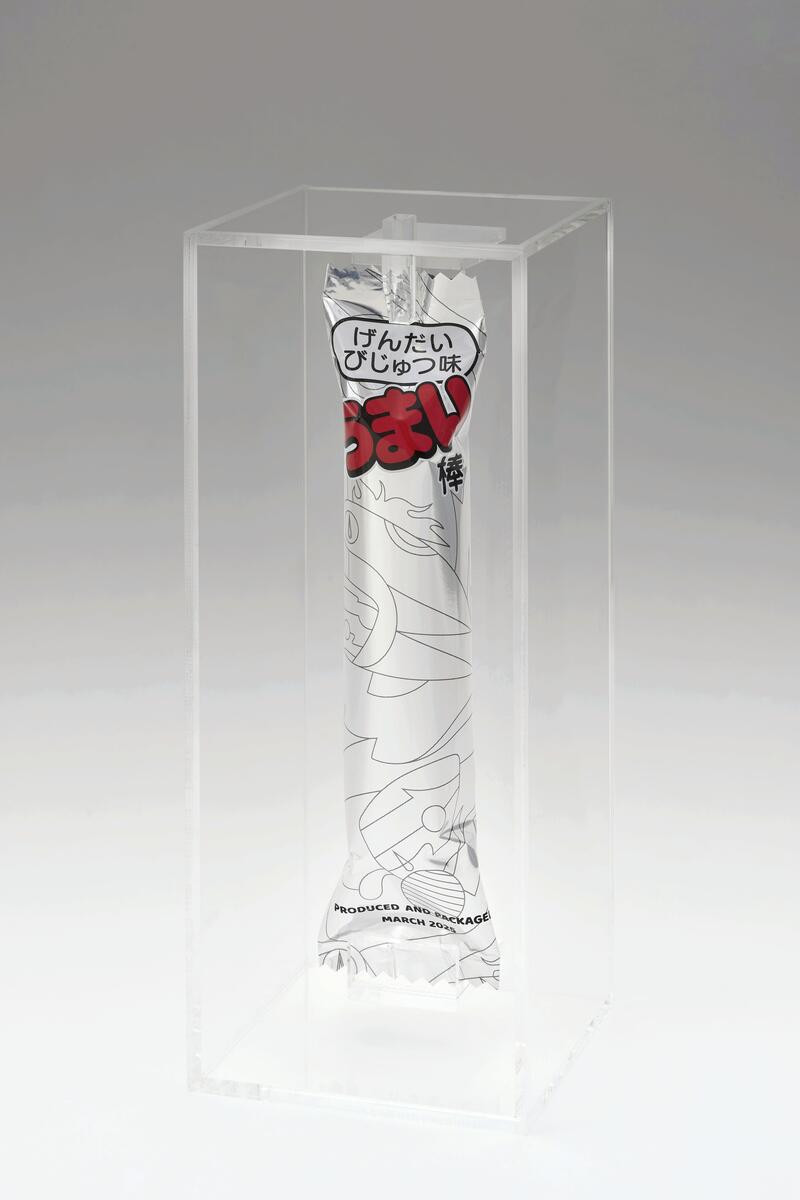 うまい棒「げんだいびじゅつ味」１１５万円で落札…開封できない鑑賞用の美術品