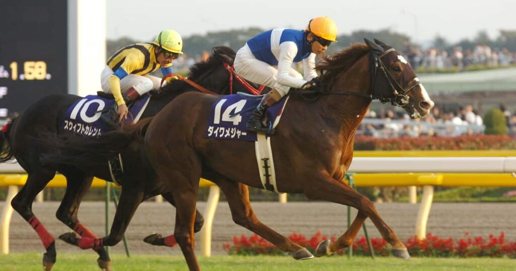 【競馬】ダイワメジャー死す…25歳　現役時に天皇賞・秋などGⅠ5勝で2年連続のJRA賞最優秀短距離馬　産駒も大活躍