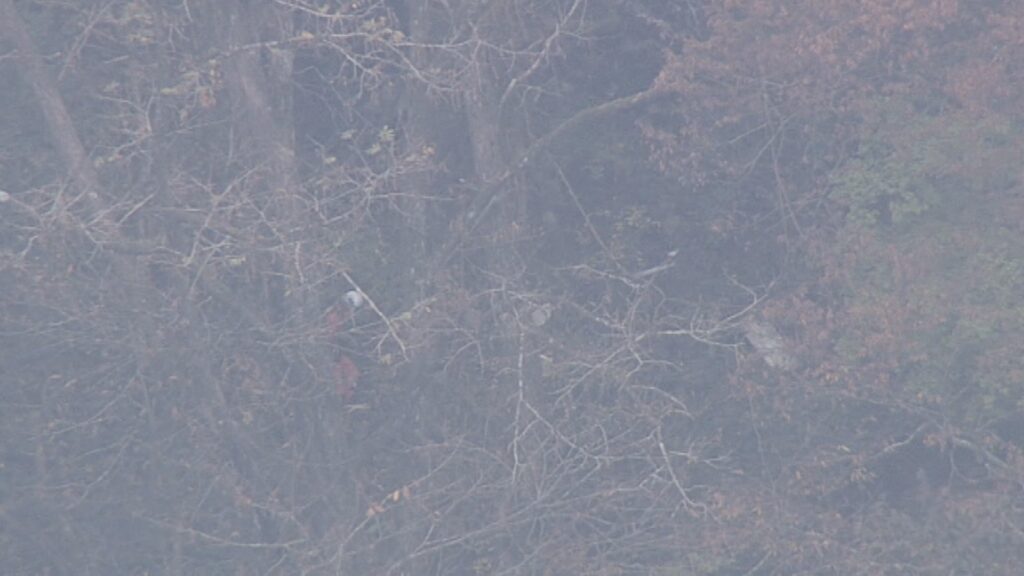 小型機墜落 3人発見も死亡確認