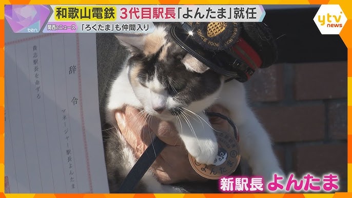 “ネコの駅長”で知られる貴志駅の3代目駅長は「よんたま」　新しいネコ社員もお披露目　和歌山電鉄