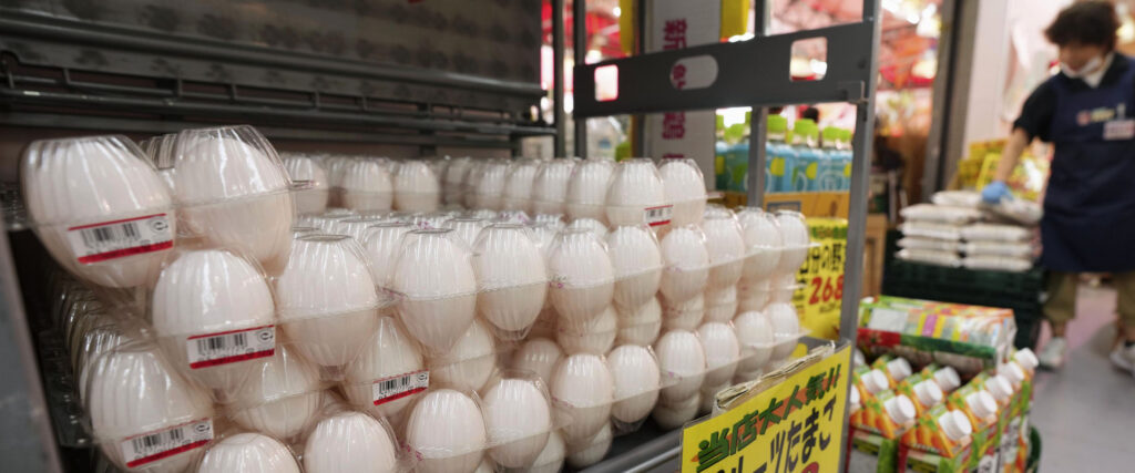 鶏卵、最高値308円に　1パック、平年比27％高