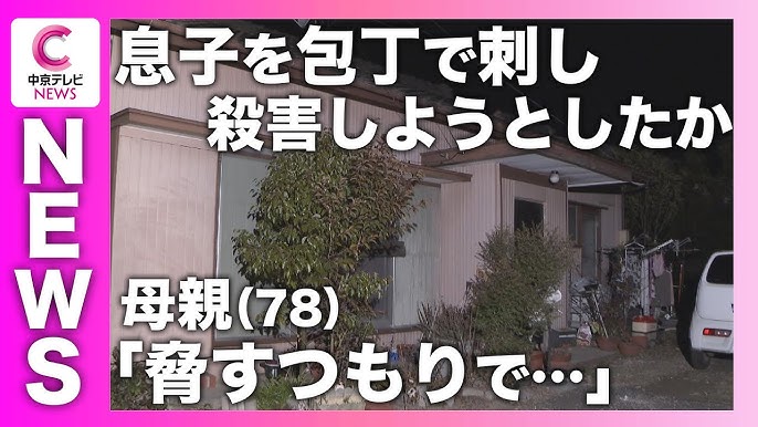 母親「脅すつもりで包丁を振り回したら、たまたま刺さってしまった」38歳の息子に刺し傷