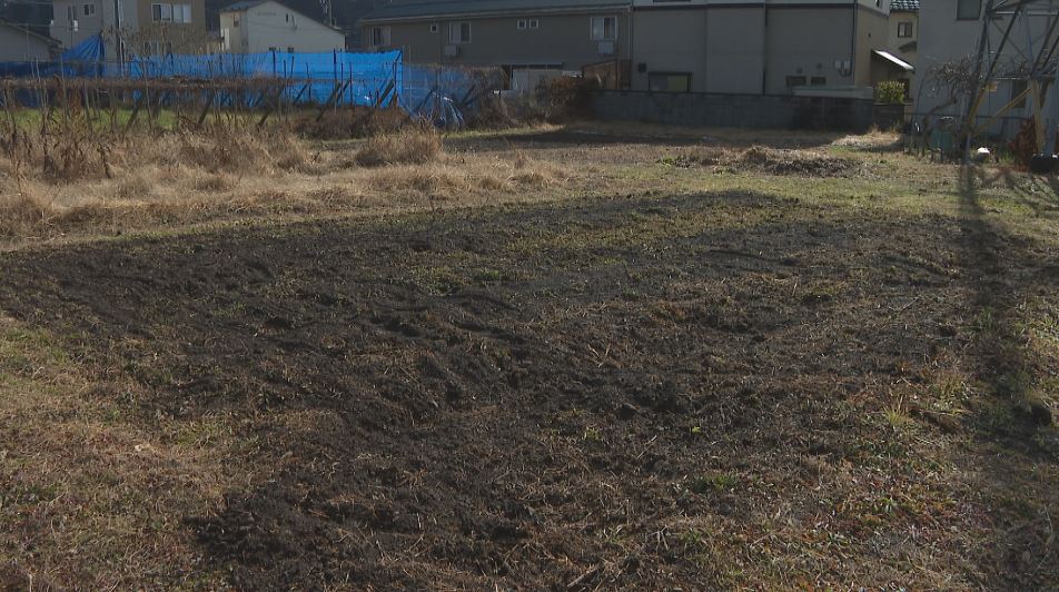 「何でこんなことするんだ」小学4年生が大切に育てていたネギ約100本が収穫直前に畑からなくなる「ネギ泥棒にやられたんだ、信じられない」　収穫祭でネギ入りギョーザを作るのを断念…学校が盗難で被害届