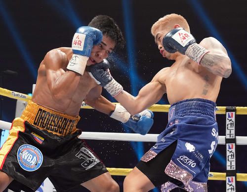 【ボクシング】井岡一翔、バンタム級転向初戦でマイケル・オルドスゴイッティに4回KO勝ち　WBA同級王者・堤聖也への挑戦権を獲得