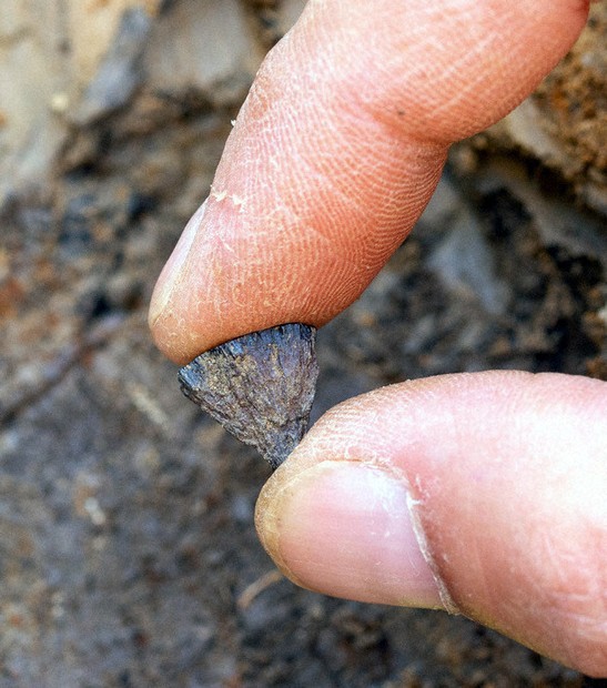 人類は40万年前に火おこしたか　従来の証拠は5万年前、英遺跡