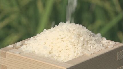 コメ平均価格 5キロ4235円　銘柄米は過去最高値を更新