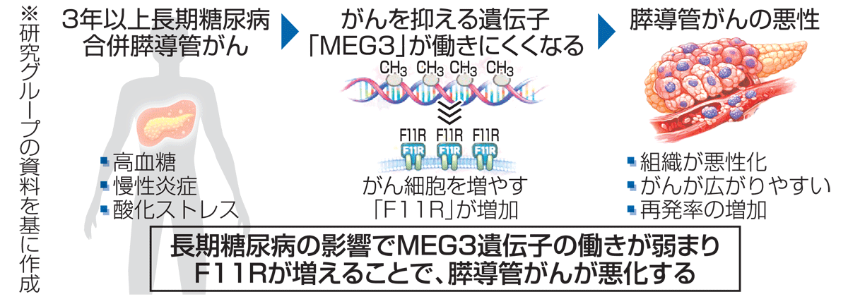 【厚生労働省・がん5年生存率、全国登録初集計】前立腺92.1％、乳房88.0％、子宮頸部71.8％、大腸67.8％、胃64.0％、肺37.7％、肝臓33.4％・・・膵臓11.8％