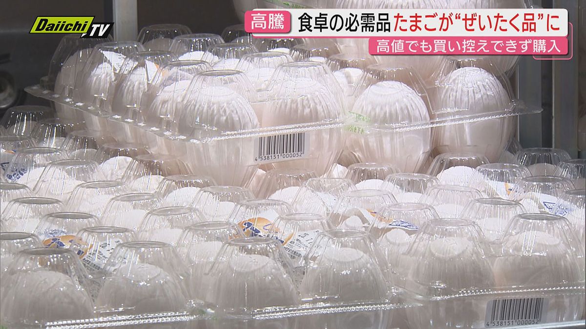 【🥚】“エッグショック”再来か　卵1パック300円超　Xmasケーキも値上がり？