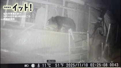 【仙台】深夜の家の前“窓をのぞく直立クマ”青葉区の住宅で干し柿60個を食べ尽くす【映像】