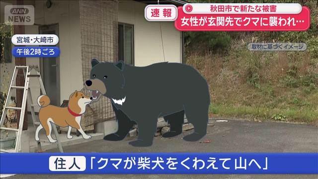 【(・(ェ)・)】70代女性が玄関先でクマに襲われ… 秋田市で新たな被害 「クマが3頭いた」