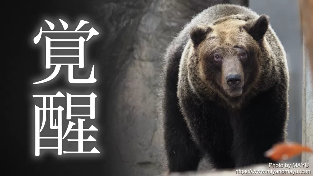 【（・(ｪ)・）】園内にクマのような足跡… 臨時休園に 札幌市円山動物園　北海道