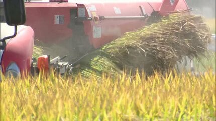 【コメ】「父が後ろにいるのに気づかずコンバインでひいてしまった」82歳男性が田んぼで死亡　稲刈り中の事故か　50代の次男が運転佐賀