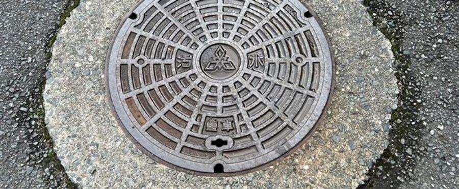 ワモンゴキブリ なぜ福岡市で急増