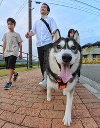 【広島】「ワンコ隊員」が地域を見守り、広島県警がパトロール隊結成