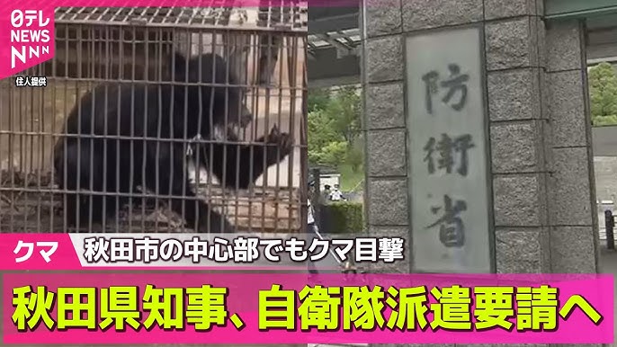【防衛省】クマ対策での自衛隊派遣 秋田県知事の要請あれば派遣の方向で調整