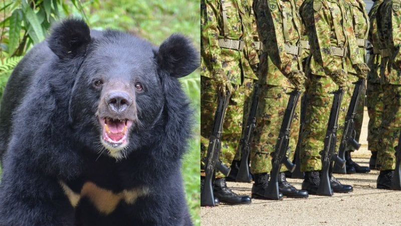 【発砲不要】自衛隊はクマを撃てるのか? 元自衛隊レンジャー弁護士が語る“出動の現実” 「クマは銃剣で倒せます」