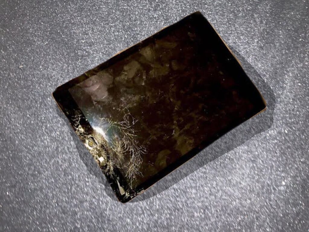 参政党支持者「息子がヒカキンの動画ばかり見てたのでアイパッドを破壊した」