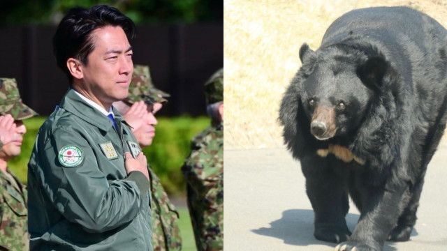 【政治】「コメ大臣」から「クマ大臣」に…小泉進次郎防衛相は早くも正念場