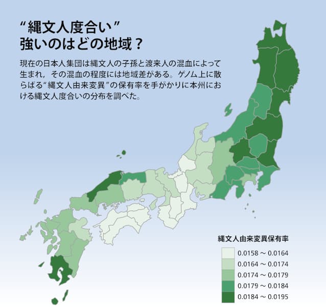 【人類学】縄文人は寒さに強かった…集団ゲノム解析が明かす先史時代の人々