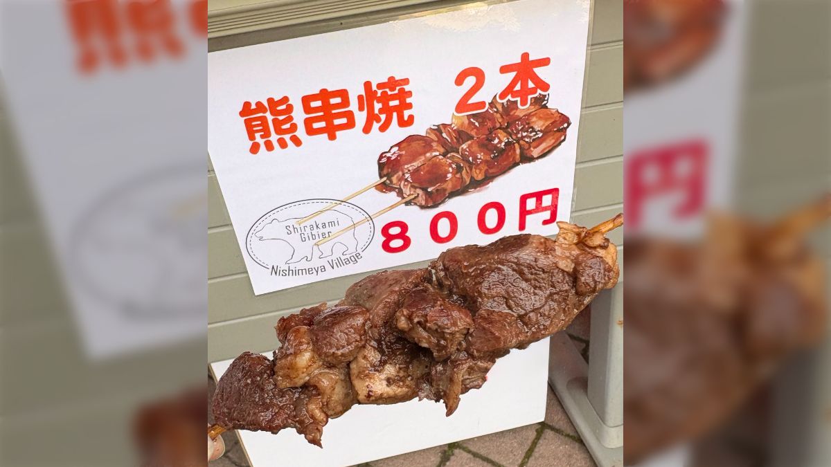 【食べ物】ツキノワグマを食べた!臭みなくホロホロ美味かった!