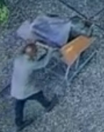 岡山市が寄贈の桃太郎像、米サンノゼ市の公園から盗難 容疑者2人の行方追う