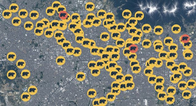 【（・(ｪ)・）】秋田県の鈴木健太知事、クマ被害「極めて深刻」　国に財政支援を要望