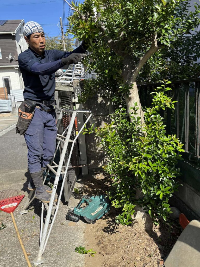 転ばぬ先の庭じまい　「手入れできない」「近所迷惑にならぬように」