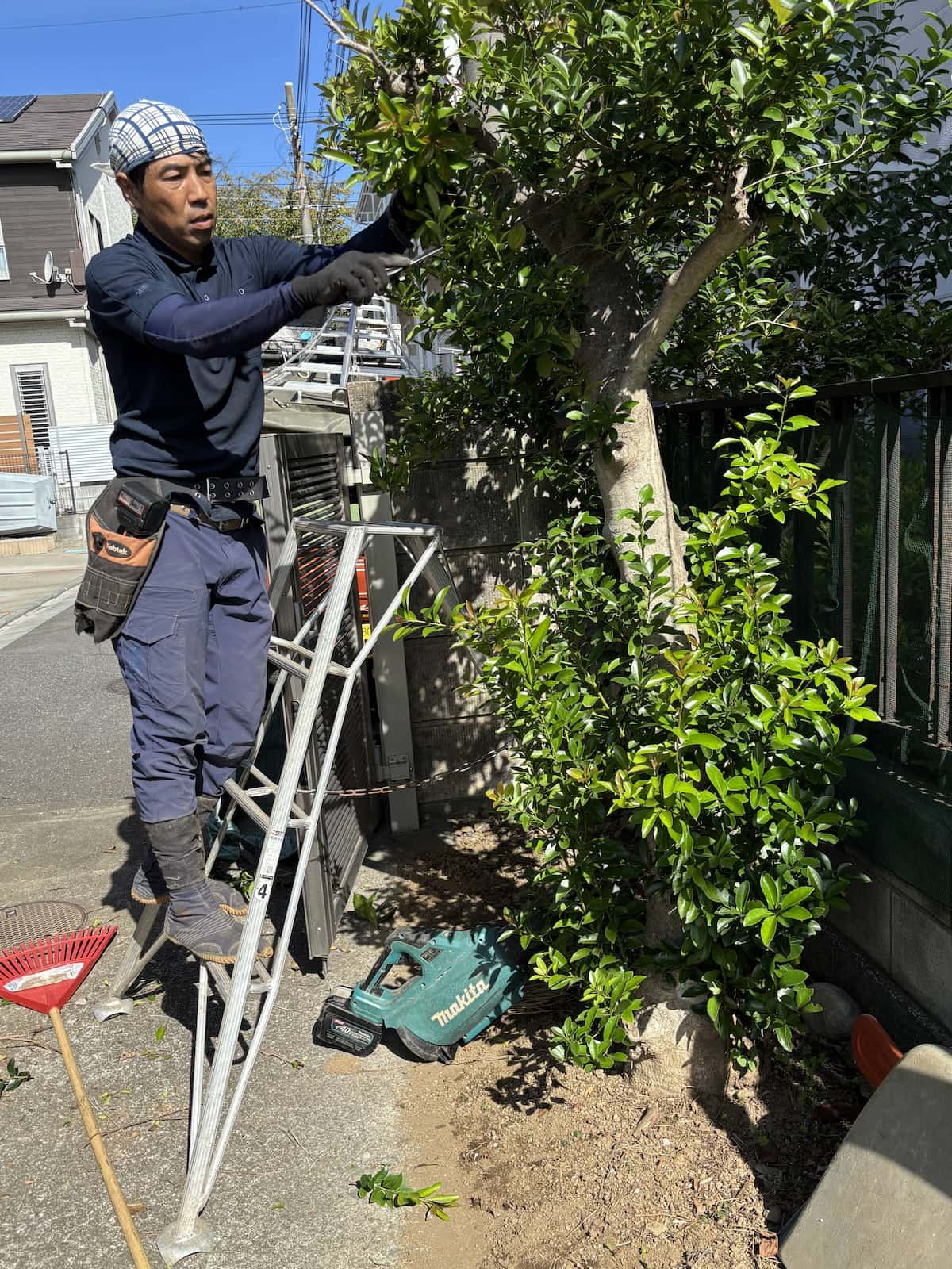 転ばぬ先の庭じまい　「手入れできない」「近所迷惑にならぬように」