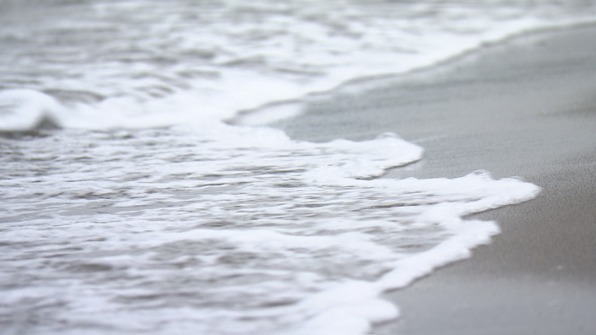【 ▽ 】「来店客が盗撮被害に…」商業施設で女子高校生の下着を盗撮しようとしたか　青森市の会社員を現行犯逮捕